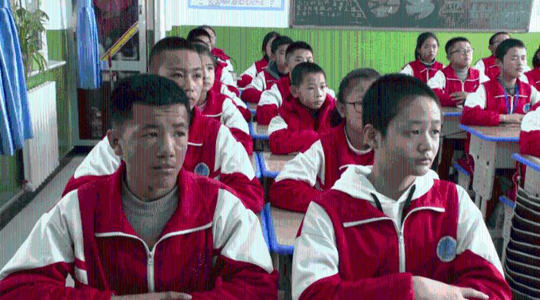 救援达尔马提亚狗